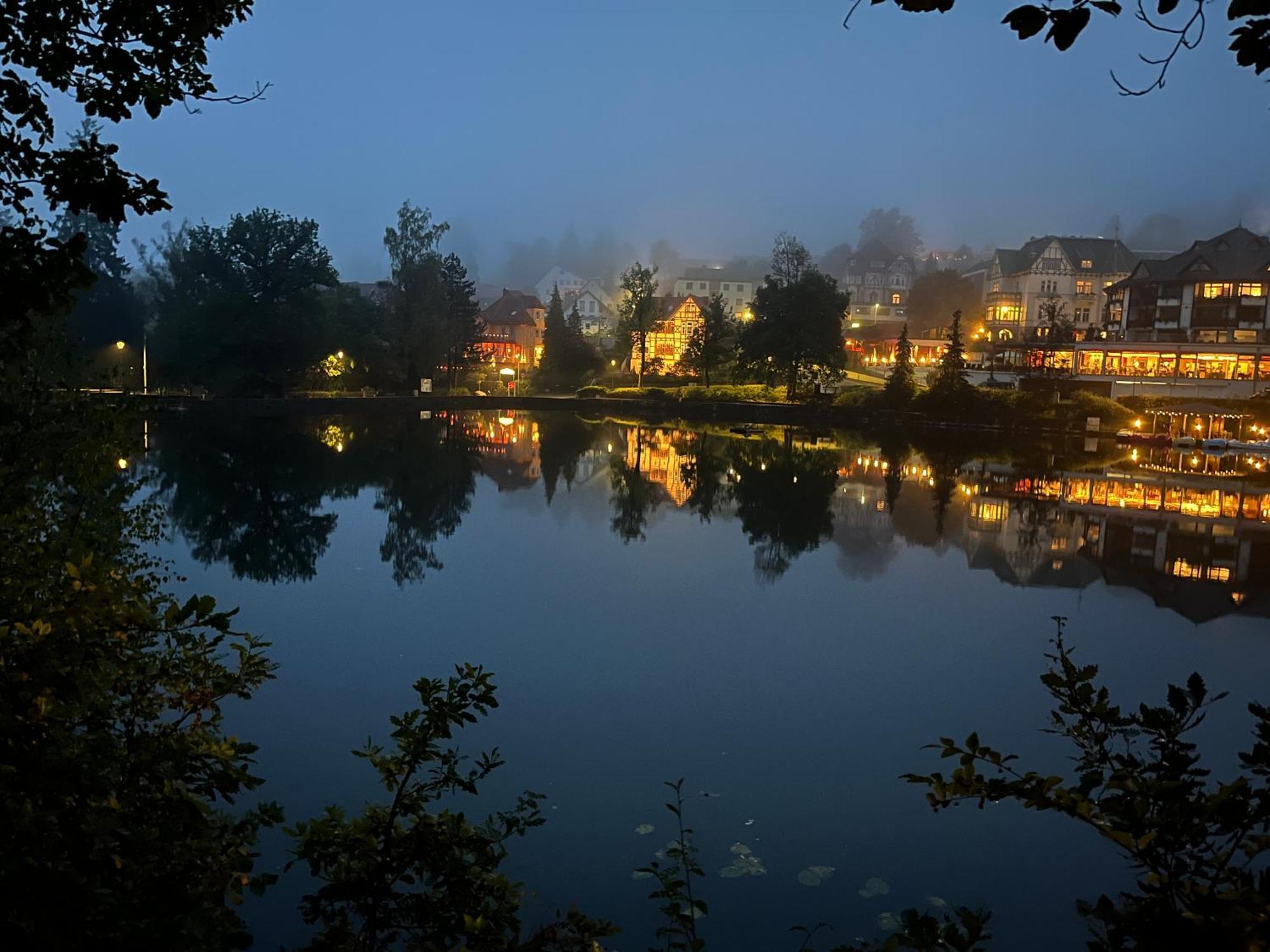 Haus Am See Bad Sachsa Bagian luar foto