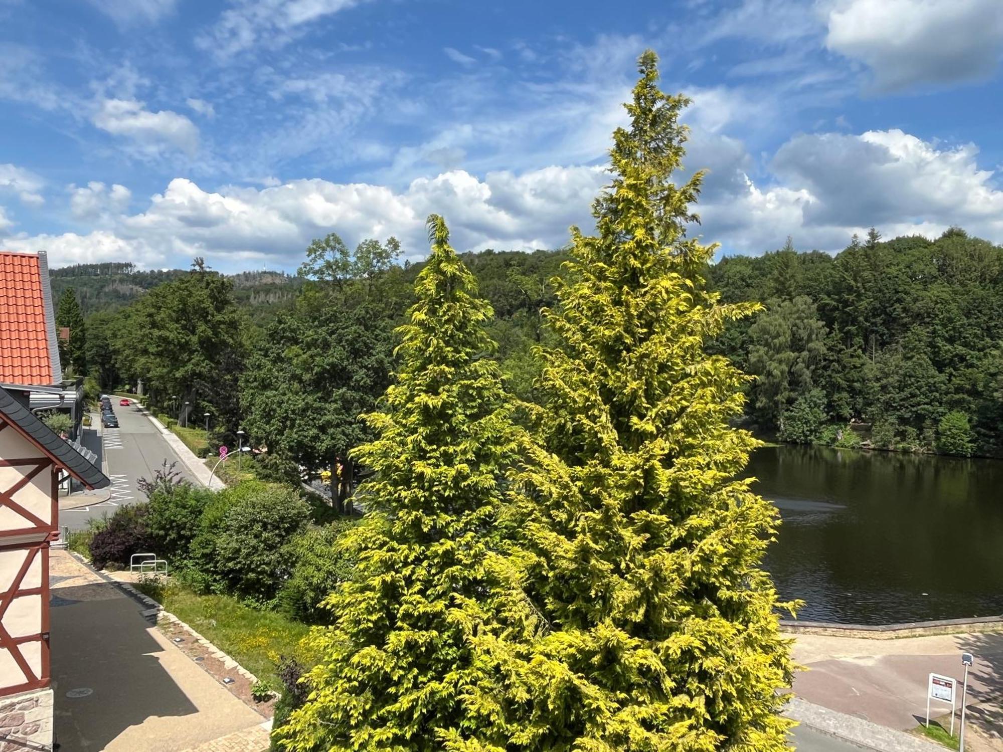 Haus Am See Bad Sachsa Bagian luar foto